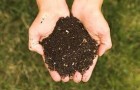 The dirt on composting