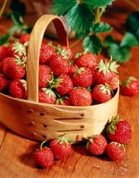 Strawberry-Facts-6-web-200x255